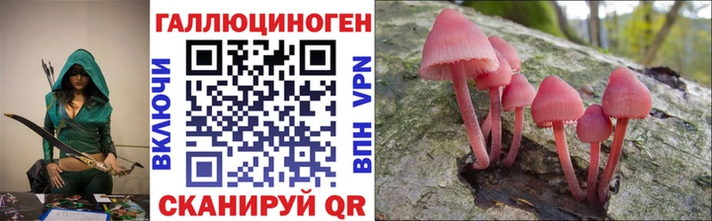 Псилоцибиновые грибы Psilocybine cubensis  Купить  Ужур 