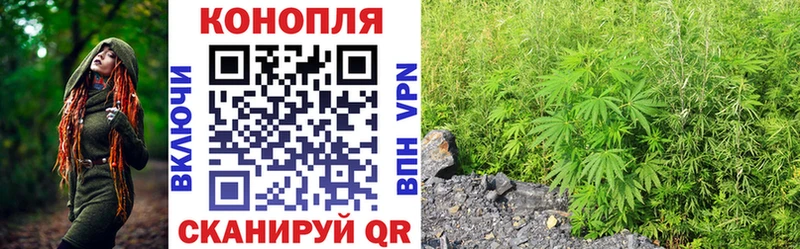 Бошки марихуана VHQ  Купить где  Ужур 